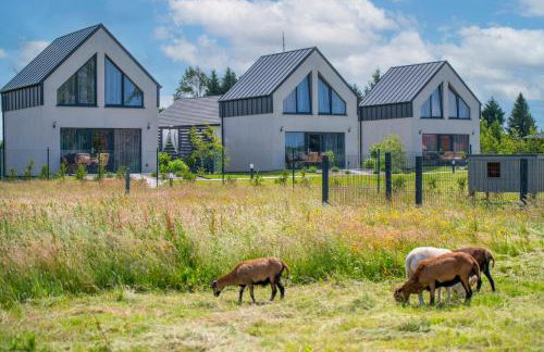 Porzeczkowe domki - Foto 37