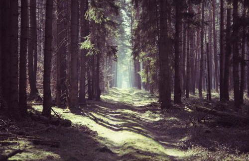 Ferienhaus Drewitz (EOC-FUP 07/2017) - Foto 16