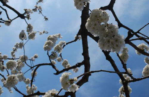 Agriturismo il Rovere - Foto 20