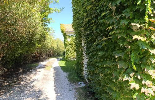 Panoramma Hause, Kampos Evdilou,Ikaria - Photo 6