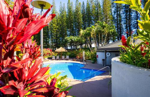 Kapalua Golf Villas 2 Free cars KBM Resorts Large Bedrooms 2 Units 3 Bedrooms ML-2189 - Foto 52