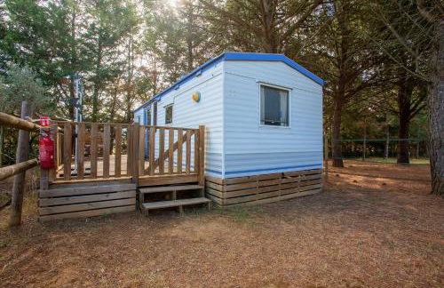 Kenya - Écuries du Mas di Gau - Foto 13