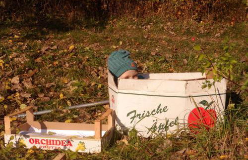 Grünsteinhof - Wohnung Rotstein - Foto 30