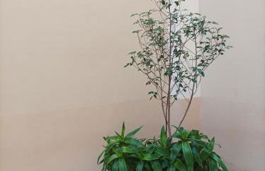 Apartamento de Lux Sevilla Este - Foto 6