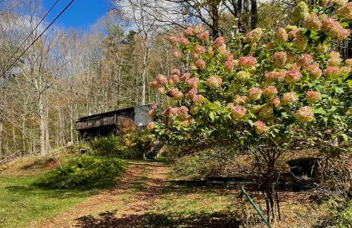 Fireplace Catskill Views Overlook Lake Cabin - Foto 58