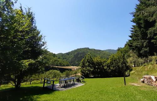 IL Bosco di Campo Marzano Sunlight - Foto 54