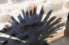 Equus & cella - Photo 44