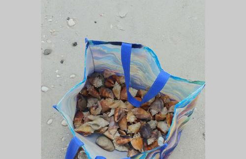 Luxury Beach Condo Located On The Bay In A Tropical Oasis!!! - Foto 42