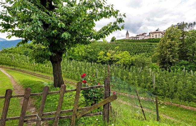 Belvilla by OYO Golden Delicious - Foto 17