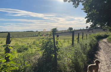 Stilvolles Naturidyll bei Berlin - Foto 26