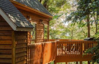 Cheerful Two Bdrm Cabin with Hot Tub & Pet Friendly - Foto 43