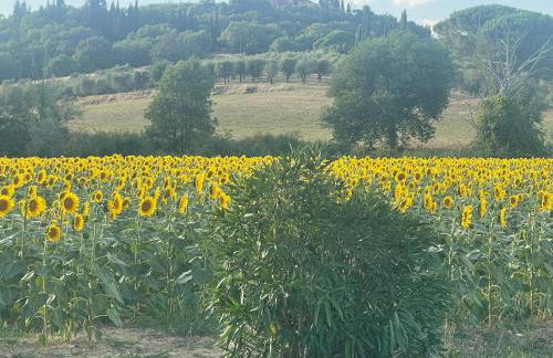 Dimora Medievale Lucolena - Foto 38