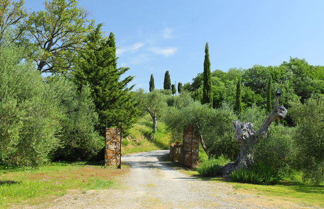 Poggio Velluto - Foto 39