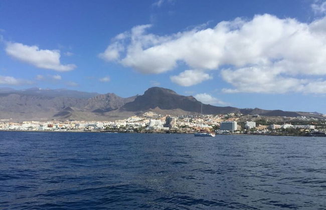 Apartment The Little La Perla - Foto 13