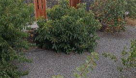 Casa Rural LUCÍA - Foto 4