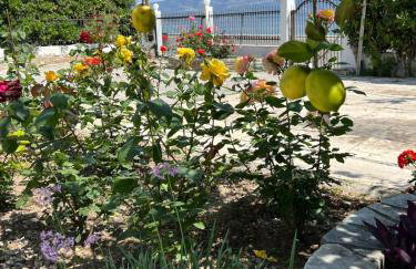 Sea front house & garden, Oropos - Foto 19