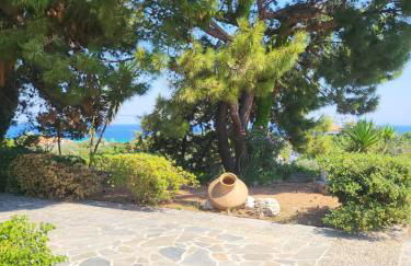 Alexia's resorts - Photo 52