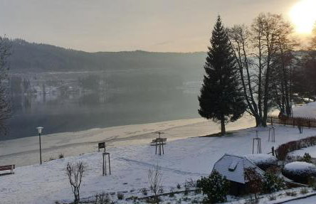 Oskar im Bärenhüsli - Photo 8