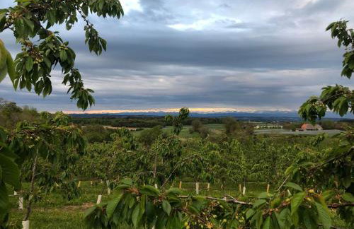 Bodensee Oberschwaben - Photo 26