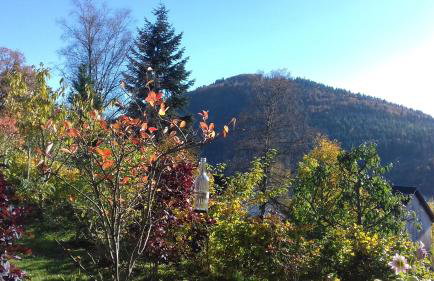 Apartment Schoenblick - Foto 15