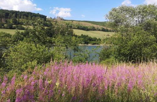 Wohnung in Stormbruch nahe dem Skigebiet - Foto 12