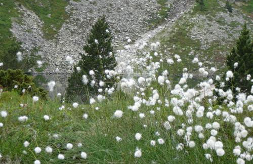 Les Bordes De Paloumières - Foto 64