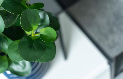 Nadmorski Apartament z dostępem do basenu, sauny, jacuzzi i ogródkiem przy plaży 114 Rezydencja Niechorze - Foto 3