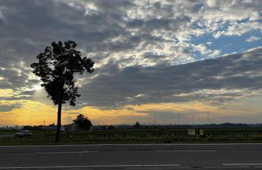 Frankenthal - Foto 6