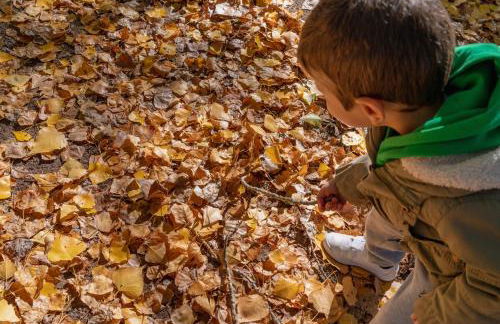 Casa Rural La Rosquilla - Foto 37