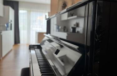 Holzapfelpalais - Foto 10