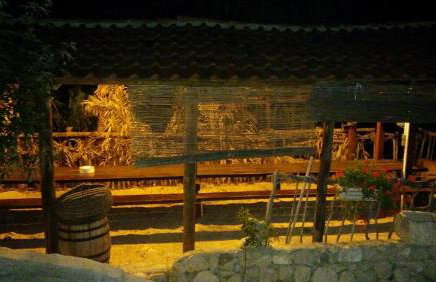 Apartments Bogunovic - Foto 18