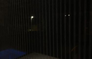 Palm Blues - Photo 62