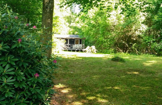 4 Person Holiday Home in Silkeborg-by Traum - Foto 23