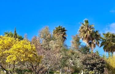 Casa Riva Mare - Foto 27