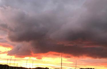 Marina Houses - Foto 28