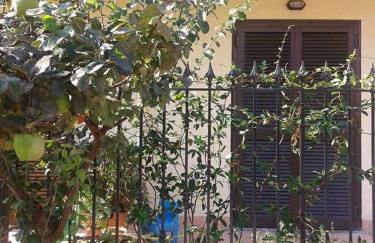 Green House - Photo 35