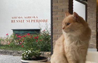 Relais Russiz Superiore - Foto 13