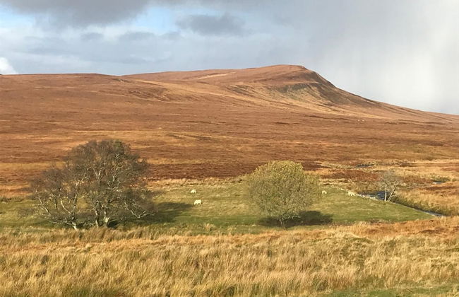 Garvault House - Photo 41