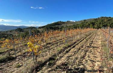 Quinta da Penada - Vineyard & Winery - Suíte 3 - Foto 18