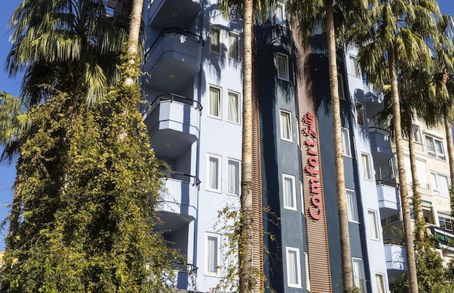 Comfort Suites - Photo 30