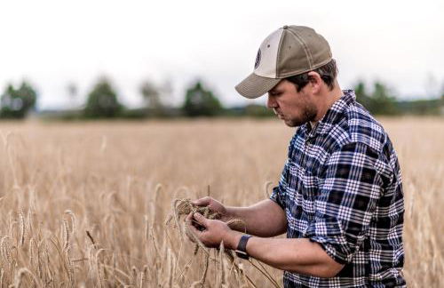 Gemütliches Gästezimmer - Foto 17