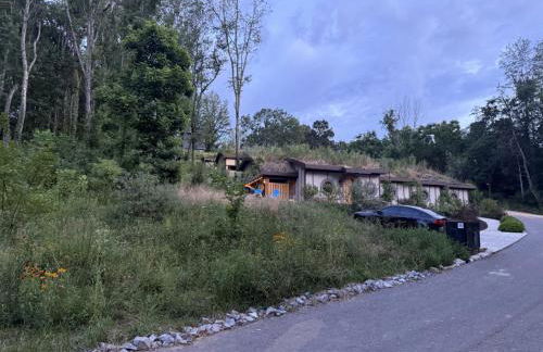 The Ancient Bears Den By Avada Properties - Foto 70