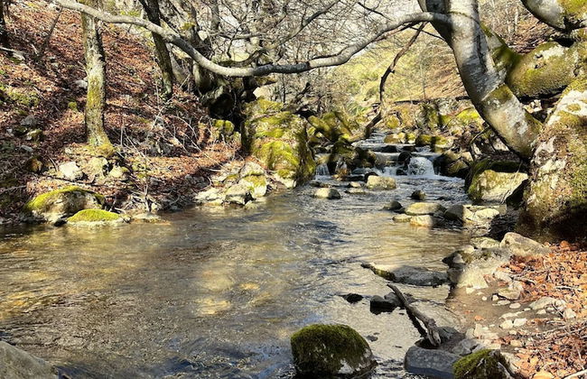 Casas rurales 4 valles - Foto 40