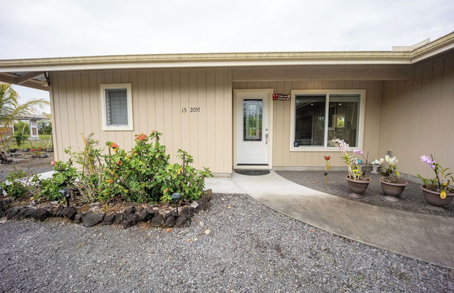 The Blissful Orchard - Foto 32