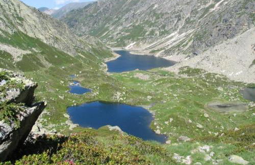 La BERGERONNETTE - Foto 26