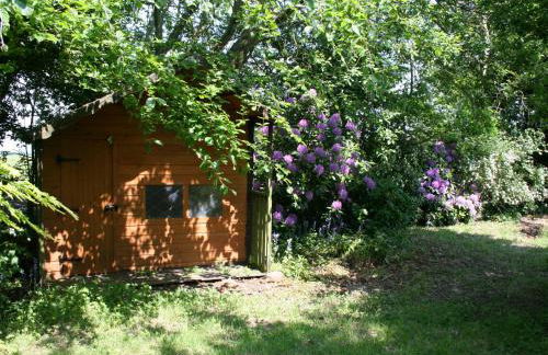 Dornock Brow Cottage - Foto 18