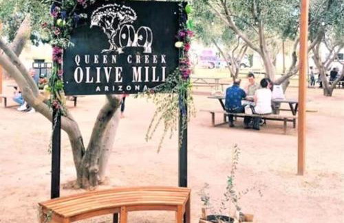 Desert Oasis STV QC Salt Pool and Baja Deck - Foto 10