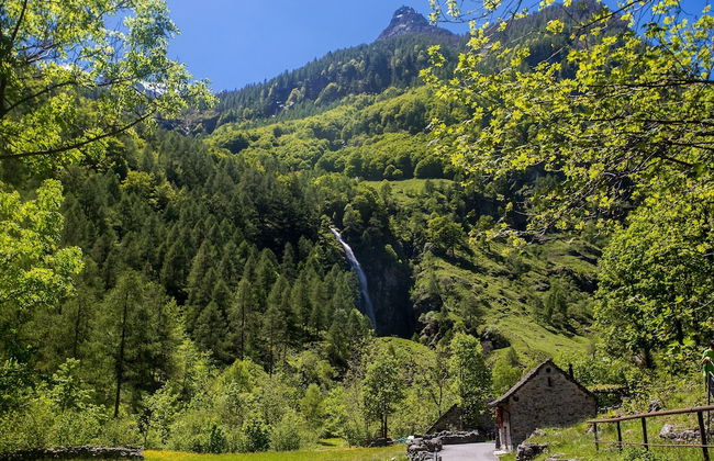 Rustico al Forno Sonogno - Foto 17