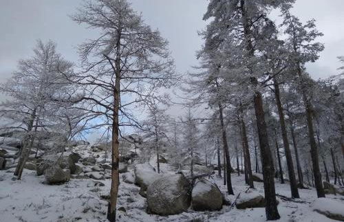 Casinhas da aldeia-casa da xiquita - Foto 32