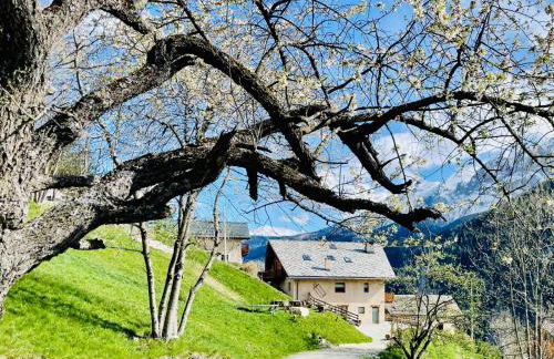 La Maison - Il Riparo del Cervo - Photo 25